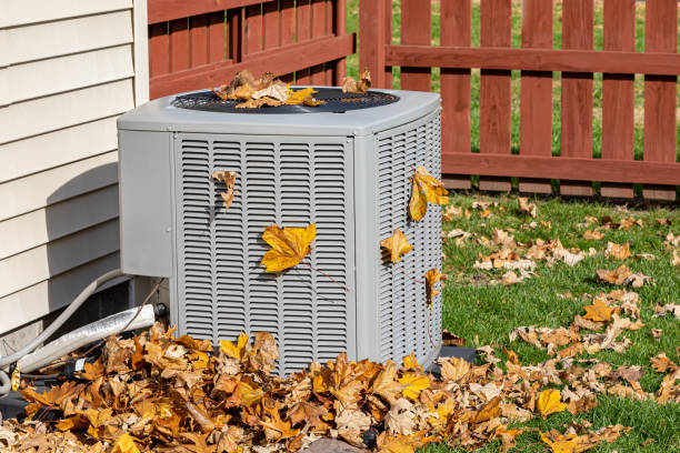 Best Affordable HVAC services  in Forestville, MD